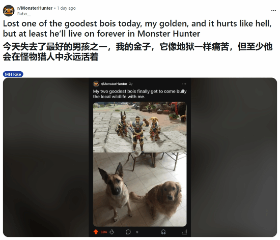 怪物猎人中的特殊纪念:玩家打造爱犬角色,痛失爱宠后获网友暖心慰藉
