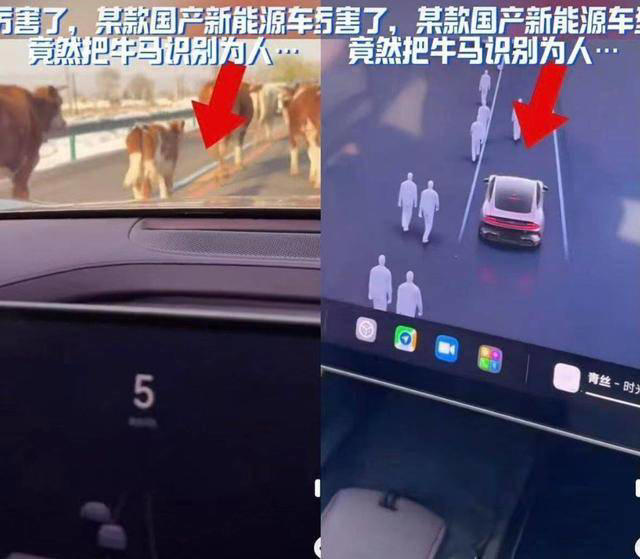 小米SU7智驾系统“翻车”:牛群行走竟被识别为行人