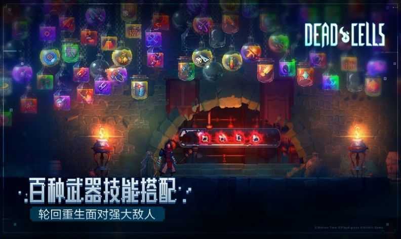 重生细胞2024免费版1