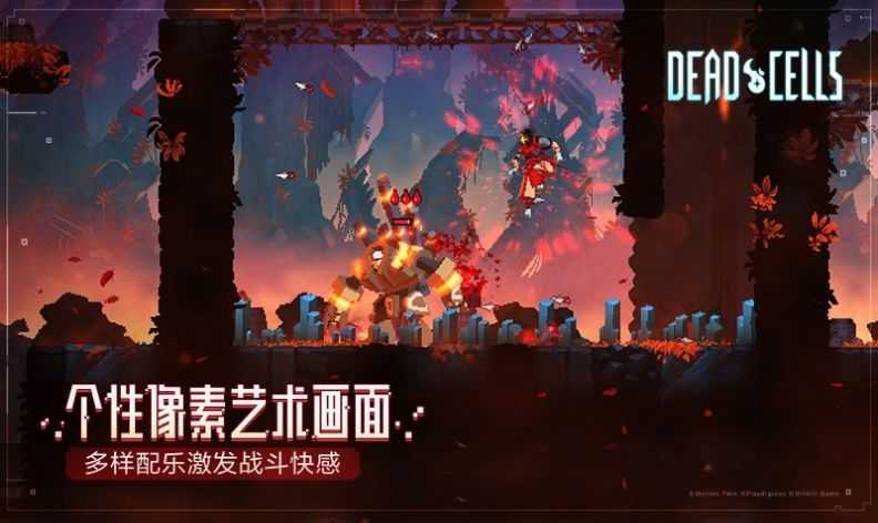 重生细胞2024免费版2