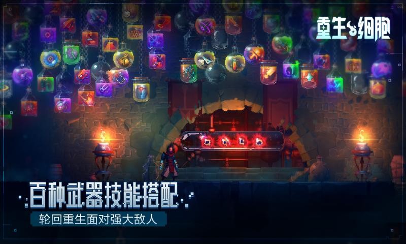 重生细胞1.70.90