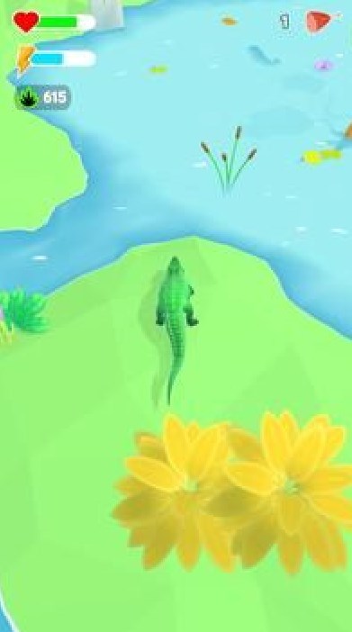 野生动物探险0