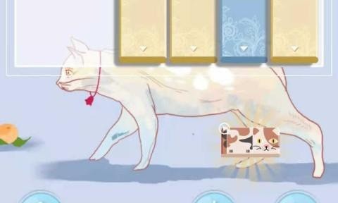 逃跑的猫1