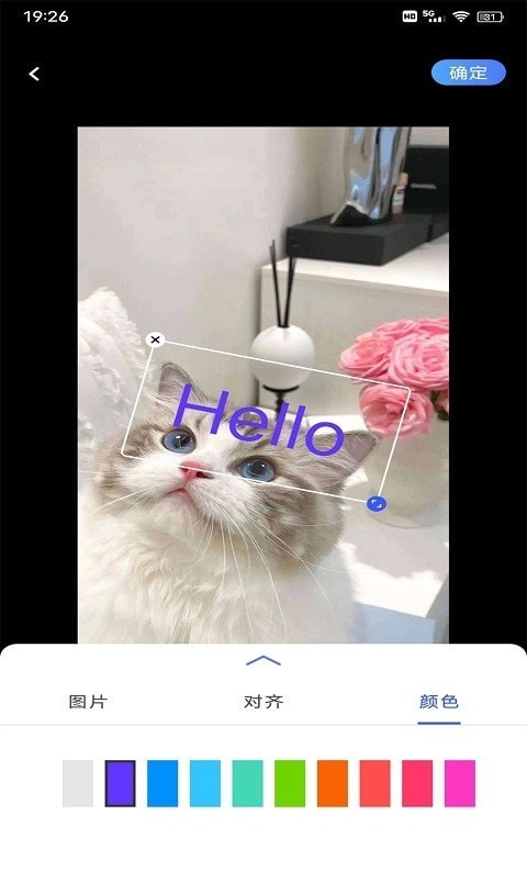 小猪翻译器2