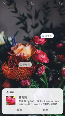 小米智能识物1