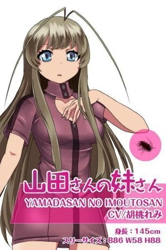 我的宠物变成了美少女5
