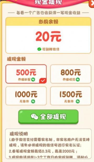 我家猫舍20232