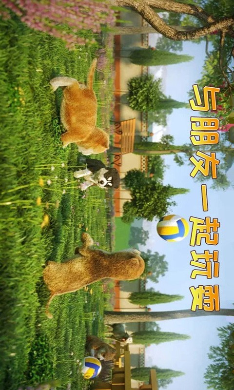 小猫历险记4