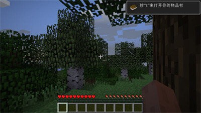 我的世界1.17.2.01材质包3