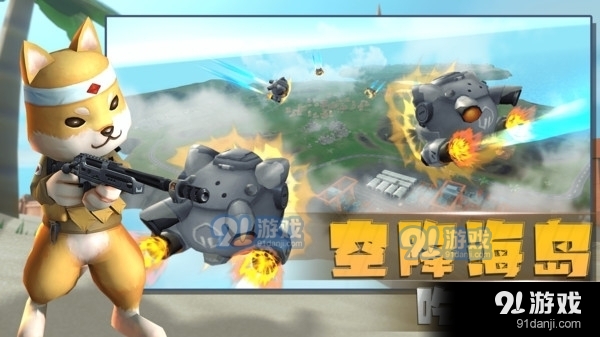 小动物行动1