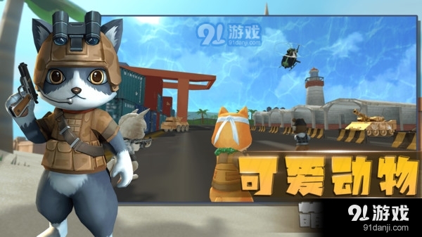 小动物行动2