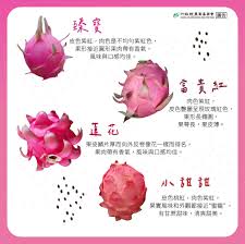 蜜宝和火龙果的区别是什么
