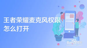 苹果手机游戏如何打开麦克风权限