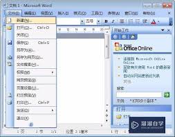 如何解除Word安全模式