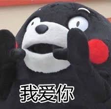 “95267710”具体含义是什么