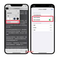 苹果手机阅读如何使用