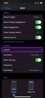 iPhone缺少Safari怎么修复