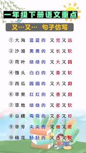 又黑又密又大又圆的特征像什么