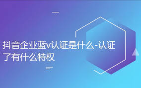 震惊!现在抖音蓝V认证竟然是这个收费情况!