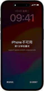 忘记Apple Vision Pro密码怎么办