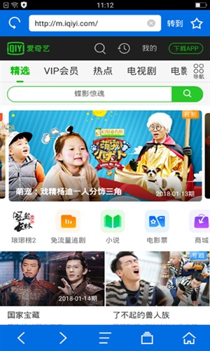 寰宇浏览器4