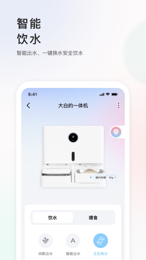 小新宠物1