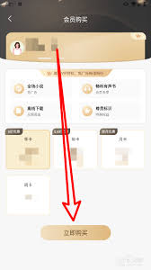 笔趣阁如何开通月度会员
