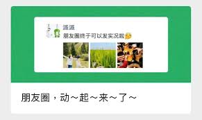 iPhone微信朋友圈能否发实况照片