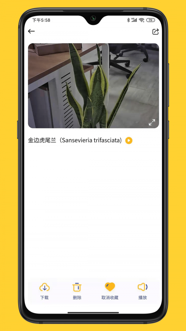 小mo乐园4