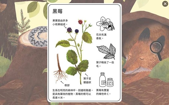 小棕鼠的自然生态百科2