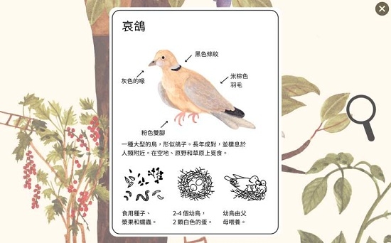小棕鼠的自然生态百科3