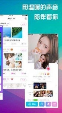 寻缘相亲网3