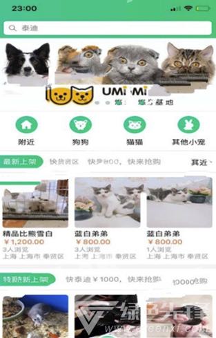寻宠(寻宠服务网)V0.1.9 安卓版3