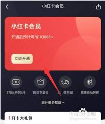 红布林app如何办理会员