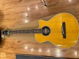 Shadow静音吉他是什么