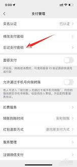 ios微信支付密码忘记了怎么办