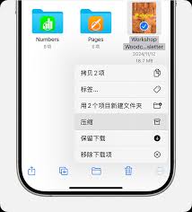 苹果手机如何打开压缩文件