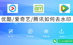 爱奇艺如何去除水印文字