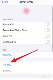 如何给iphone自带图书设置密码