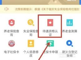 河北易人社养老保险怎么认证