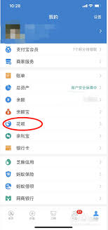 iphone如何使用花呗