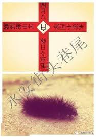 夫妻二人看麦片毛毛虫含义是什么