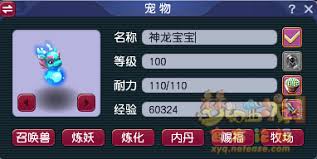 QQ西游宠物怎么升级