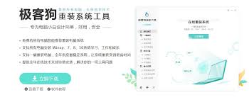 新手怎样重装win10系统