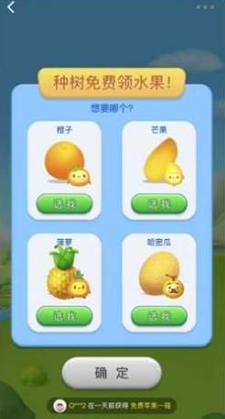 小美果园2