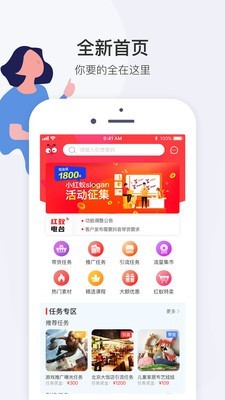 小红蚁1