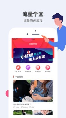 小红蚁5