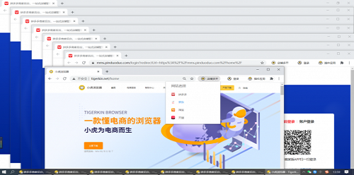 小虎浏览器1