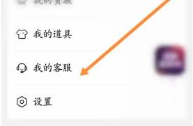 心遇聊天软件如何收费