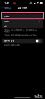 苹果手机5G开关位置大